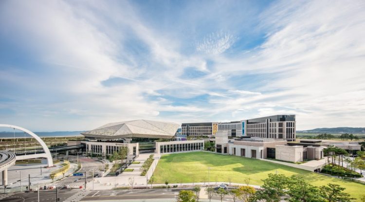 パラダイスグループの1月の成長は運悪く限定的