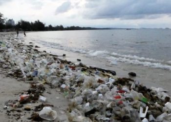 複数の開発、環境違反でシアヌークビルのカジノに閉鎖命令