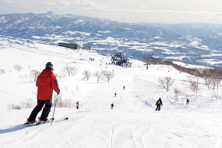 IR誘致か撤退か 注目の北海道知事選スタート