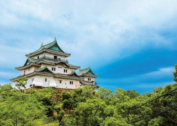 和歌山はいかが?