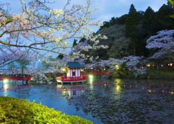 千葉県民の49%がIR反対　「ちばぎん総合研究所」調査
