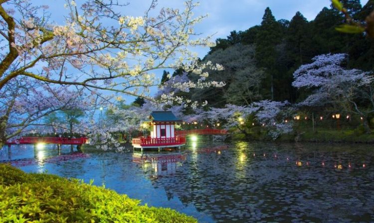 千葉県民の49%がIR反対　「ちばぎん総合研究所」調査