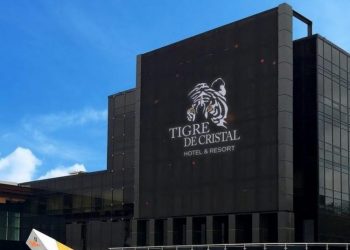 サンシティが2020年にティグレ デ クリスタルのVIP総額を250％増加させる見込み:ゴバートセン