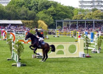 パチンコ事業を行うオークラホールディングスが馬の調教に参入