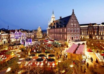 オシドリは長崎ファースト、長崎空港の拡大に協力姿勢