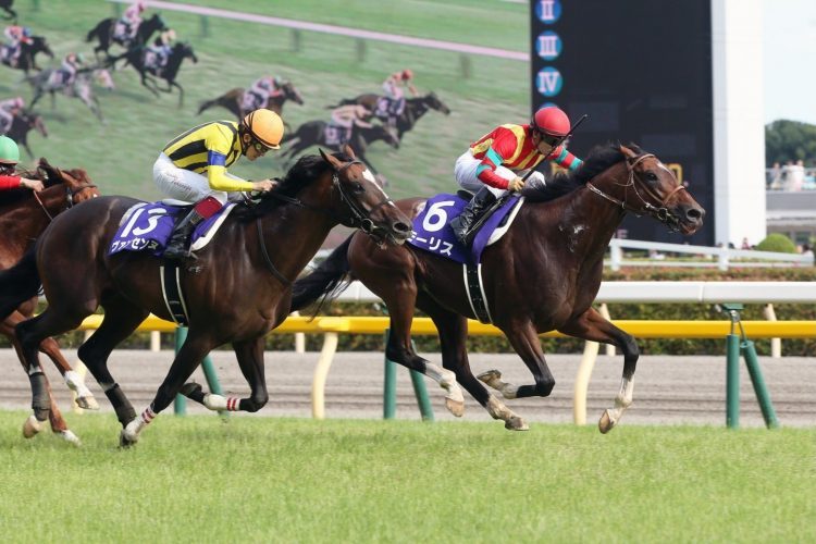 JRAの競走馬から禁止薬物検出　大量156頭が除外