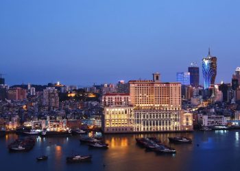 19年上半期サクセスユニバースがポンテ16のシェア増加で230％の増益