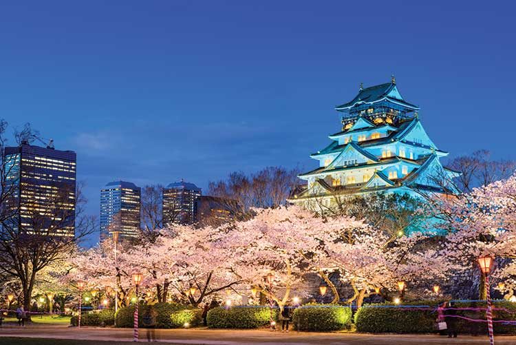 川崎と浜松もIR誘致に積極的な態度を示し、誘致に関心のある地域は調査から最大で10箇所に