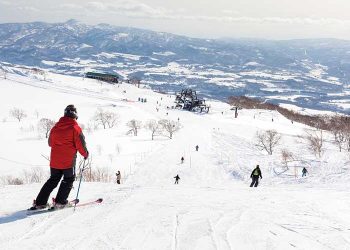 北海道IRへ　苫小牧市長が道議会議員に協力を要請