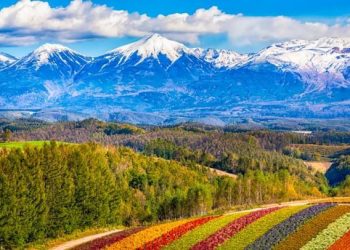 北海道IR　道内5カ所で地域説明会
