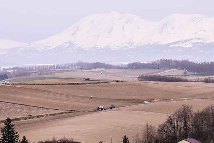 北海道IR誘致の是非 推進派、反対派の動き活発化