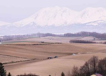 北海道　IR誘致レースから離脱