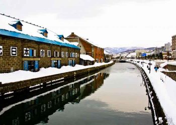 IR誘致を見送った北海道　各界の反応と今後