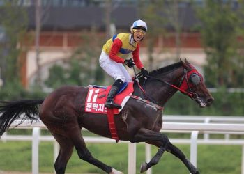今週は”無観客”日本ダービーだが 韓国競馬は再開に足踏み