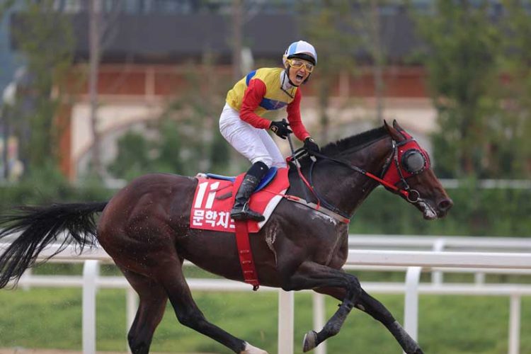 今週は”無観客”日本ダービーだが 韓国競馬は再開に足踏み