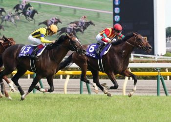 パチンコ離れ！？公営ギャンブルは上半期終了 　競馬、ボートレースが好調