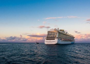 クルーズ船業界の扱いは「不当」　CDCが新手順の提案を無視：野村證券