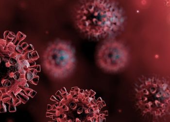 マカオの科学者が新型コロナワクチン開発における画期的前進の重要性を説明