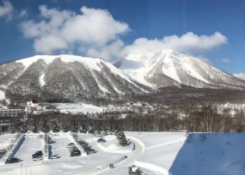 「IR汚職」贈賄側に懲役10月求刑　「犯行に積極的に関与」