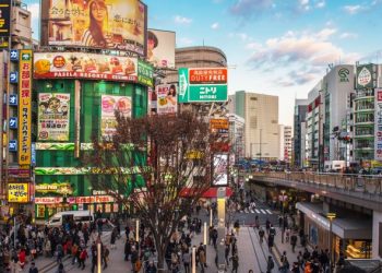 違法カジノ店、実質的経営者とみられる暴力団組員逮捕　新宿歌舞伎町
