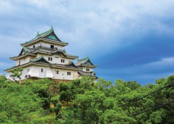 「和歌山IR」はクレアベストとサンシティの一騎打ち　今春に決着