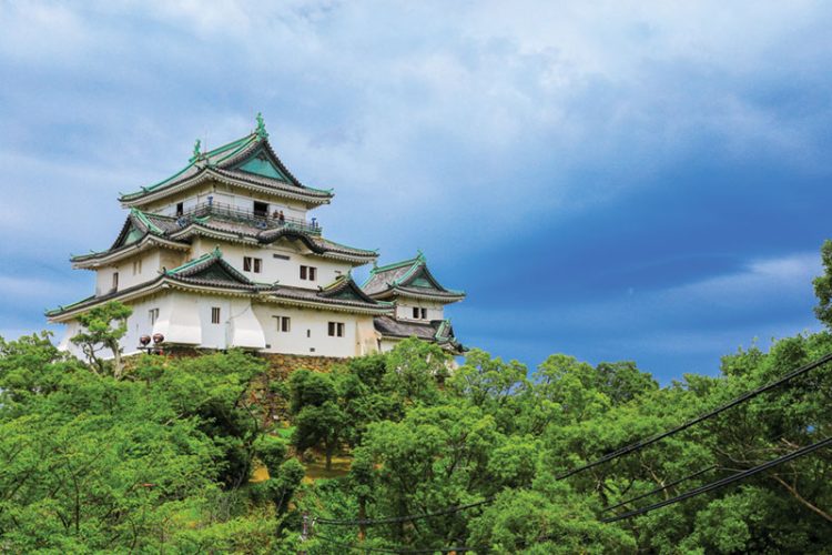 「和歌山IR」はクレアベストとサンシティの一騎打ち 今春に決着