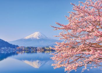 2021:日本版IR  試練の時第2部