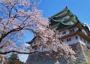 名古屋市で違法カジノ店摘発　従業員や客など5人逮捕