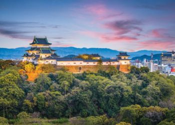 和歌山ＩＲの事業者決定は今月末に