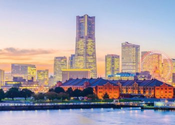 横浜市長選　動物愛護団体代表理事の藤村晃子氏が立候補表明　IR誘致反対を掲げ