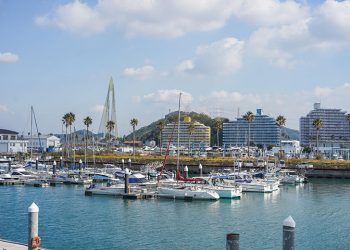 IR誘致　事業者を不安視する声も　和歌山県議会