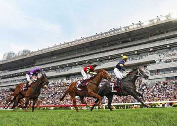 香港ジョッキークラブ　アプリにユニークな新機能「Find My Horse」を追加