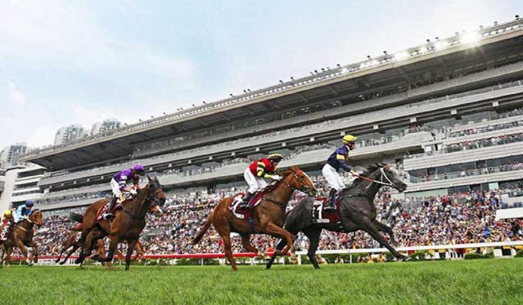 香港ジョッキークラブ　アプリにユニークな新機能「Find My Horse」を追加